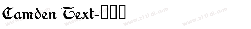 Camden Text字体转换